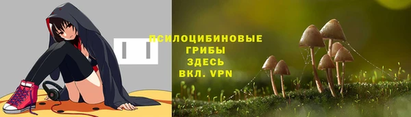 дурь Нефтекумск