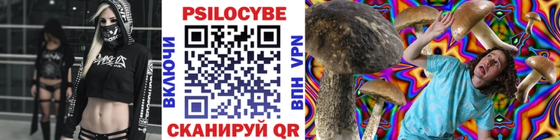 Галлюциногенные грибы Psilocybe  купить  цена  Кирсанов 